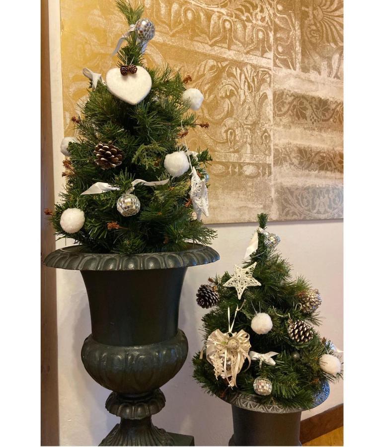 Albergo Garnì Cavento Pinzolo Exteriör bild